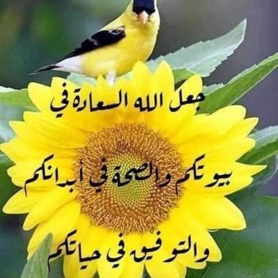 مرحبا مكتب استقدام الهند أفراد /موسسات /سائقين /عمال نظافه /عمال استراحات ومهنه رجاليه فقط او خلال فتره ١٥يوم بازن الله واتساب
919967085539+