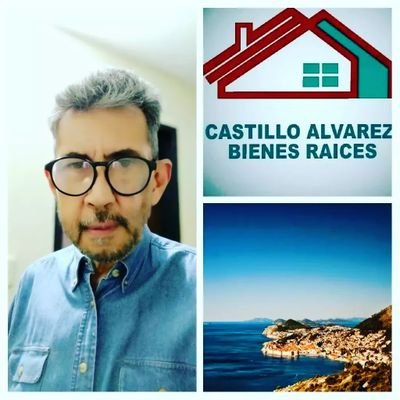 Director y asesor de la firma inmobiliaria CASTILLO ALVAREZ BIENES RAÍCES con 18 años brindando asesoramiento en tiempo real