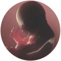 JDOHaD (@jdohad1) 's Twitter Profile