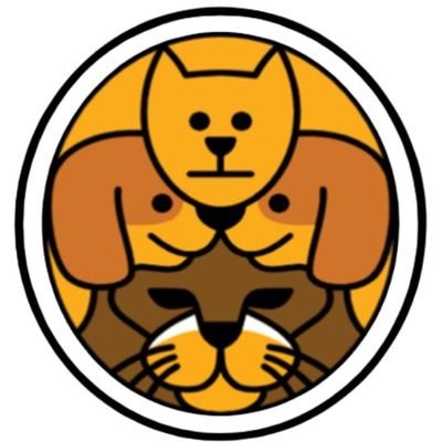 Tigerdogi is meme Coin #TGRD use of #bsc network
#bnb #doge #shiba #TGRD$
Telegram:https://t.co/KA1snfxc6f