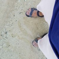 サトシ@40代低所得者 (@kenkendai1234) Twitter profile photo