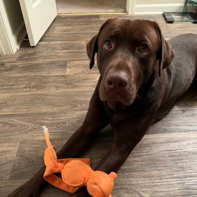 miriamx_3's profile picture. finding my way around life and always striving to live in the present 🇲🇽🌞