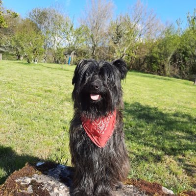 BoutrucheHenri's profile picture. 