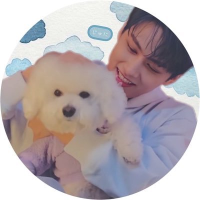 犬派ですか？猫派ですか？ギュジュン派です 🐈