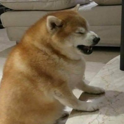 ひおりさんのプロフィール画像