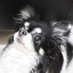ããç¥ãâšã¢ããå
(@kvx75urc1ygh2ph) Twitter profile photo ããç¥ãâšã¢ããå
(@kvx75urc1ygh2ph) Twitter profile photo