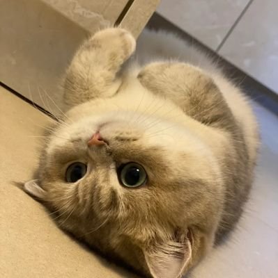 onlyowern's profile picture. 