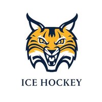 QU Women's Hockey(@QU_WIH) 's Twitter Profile Photo