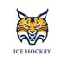 Quinnipiac Women's Ice Hockey (@QU_WIH) Twitter profile photo