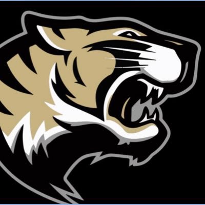 Comer_MBB's profile picture. Marcus Herbert Head Boys🏀 at BB Comer High School