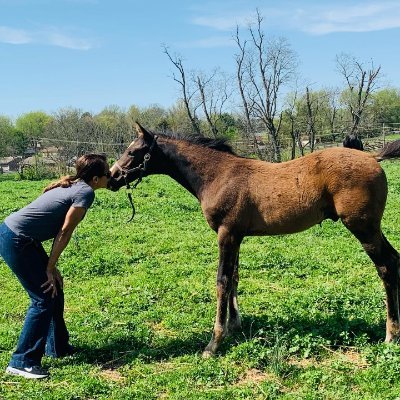 I will tell it like it is and if you don't like it, too bad. I love sports but mostly horse racing. Pedigrees are my passion. #freepalestine #GOParefascists