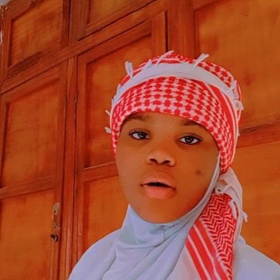 https://t.co/ghvA7txfiO||Dev. Enthusiast||Certified Mental Health Advocate by WHO|| Fellow @glblctzn @ForbesBlk || Dir,NANS KWARA||Writer||Founder:-DHO,@Insightherapy