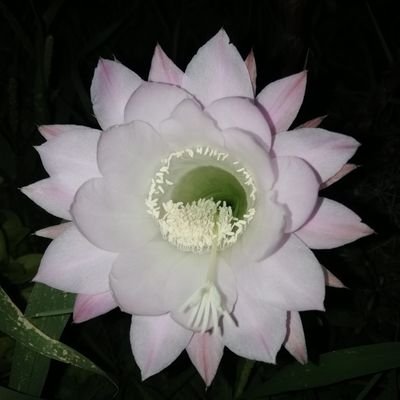 carmenmoquin's profile picture. 🇪🇸🇪🇸