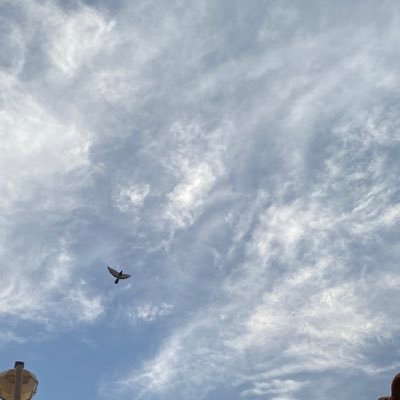 aiixxn5's profile picture. INTJ | CS Student at @_ksu | @dspksu