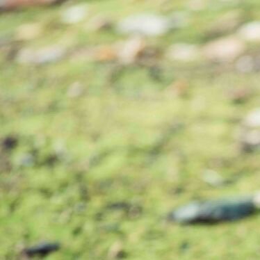 yamaumikaze1's profile picture. 