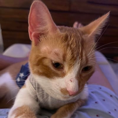 nbeme's profile picture. A Dreamer of the Future & tinkere from growing from Mother Earth to writing my future past.