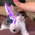 Fluffy (@dafluffyflame) Twitter profile photo Fluffy (@dafluffyflame) Twitter profile photo