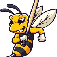 Sun Prairie Sting Baseball (@sun_sting) 's Twitter Profile
