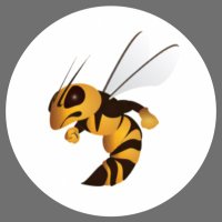Harris-Stowe State University Women’s Basketball (@wbb_hssu) 's Twitter Profile