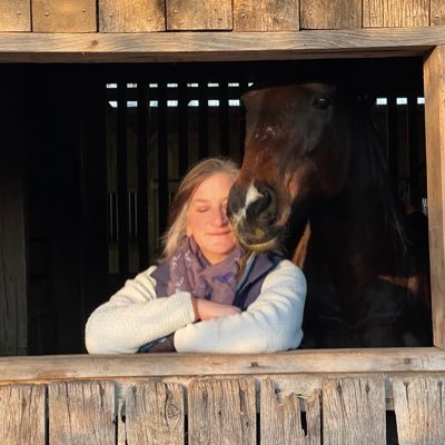 Horse, photography, and grammar nerd who wants to rescue every animal in need