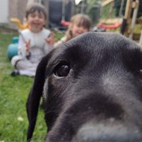 Islay the school dog (@islayschooldog) 's Twitter Profile Photo Islay the school dog (@islayschooldog) 's Twitter Profile Photo