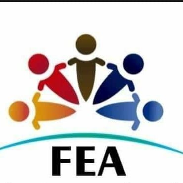 FEA Nigerian Children And Teens Foundation. Humanity And Education