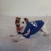 Jack Russell Café (@jackrussellcafe) Twitter profile photo Jack Russell Café (@jackrussellcafe) Twitter profile photo
