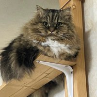 ヒロミ (@1zp9mbbchpdfkls) Twitter profile photo