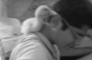 edujumbo's profile picture. poesia,musica,estrellas,comida,aventuras