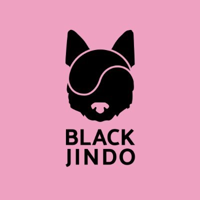 BlackJindo's profile picture. Creator @GamestopNFT
Music NFT artists 
#Powertothecollectors