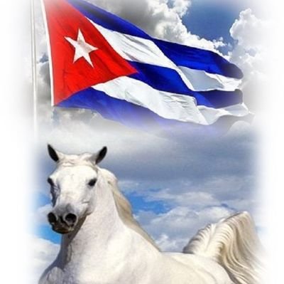militante del partido comunista de Cuba, antiimperialista, y latinoamericano 100%
🇨🇺 #jovenesdelyayabo
