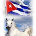 Guerrero Marcos (@marcos61370160) Twitter profile photo Guerrero Marcos (@marcos61370160) Twitter profile photo