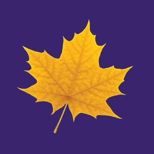 Wilfrid Laurier University Profile