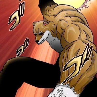 dhrogaa's profile picture. 