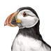 Helen Liddle (@ourhighlandhome) Twitter profile photo Helen Liddle (@ourhighlandhome) Twitter profile photo