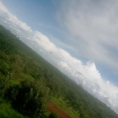 ebrkma's profile picture. 