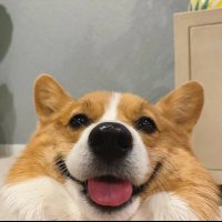 m:(: (@artisexx) 's Twitter Profile Photo m:(: (@artisexx) 's Twitter Profile Photo