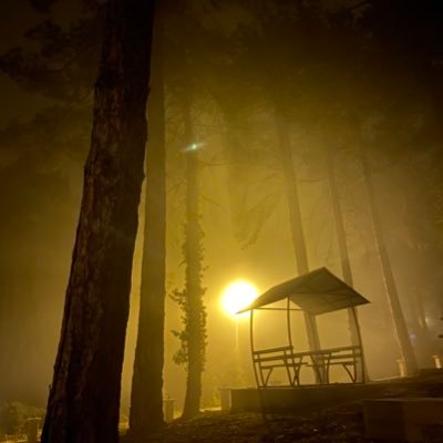 umutlubirisiii's profile picture. 