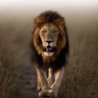 عصام سلطان (@slahsla92353795) Twitter profile photo