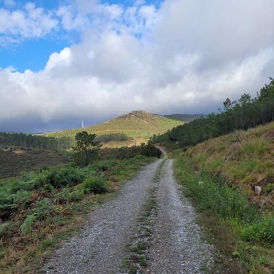 granty85's profile picture. 