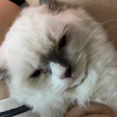 Testimo70's profile picture. Just a cool guy