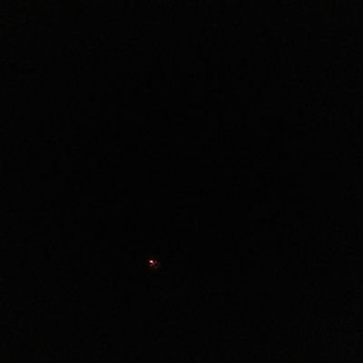 FelipeF21630890's profile picture. 