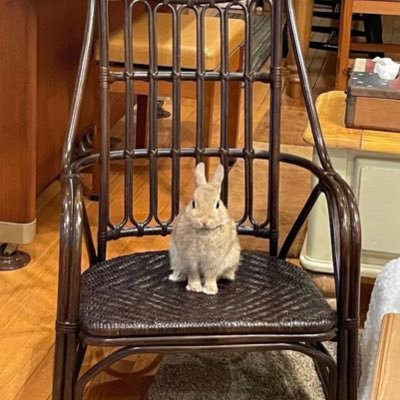 tkg_2126's profile picture. 趣味を探し