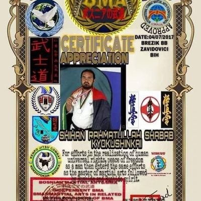 HanshiS's profile picture. 