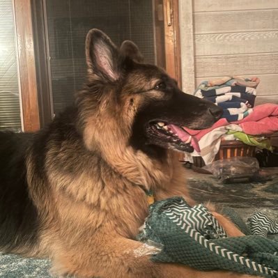 RoughVal's profile picture. Self Improved ✝️