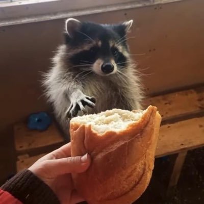 ttabong135's profile picture. 