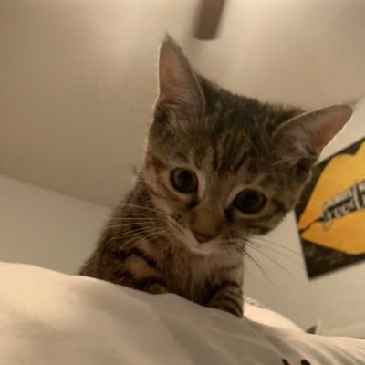 kriley50's profile picture. Just some dude watching the world Burn!