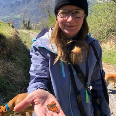 rosamen15378752's profile picture. 