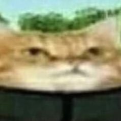 kulvermaw's profile picture. 27 | minors DNI