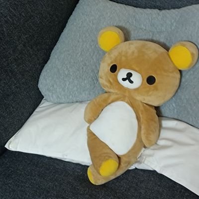 個人開発をしてみたい!/
プログラミングは初心者/
化学系 修士/甲種危険物,統計検定2級,基本情報技術者